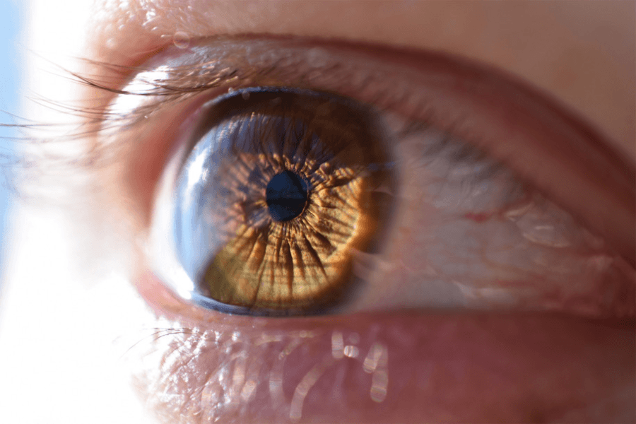 COVID-19 virus seen in victims' eyeballs