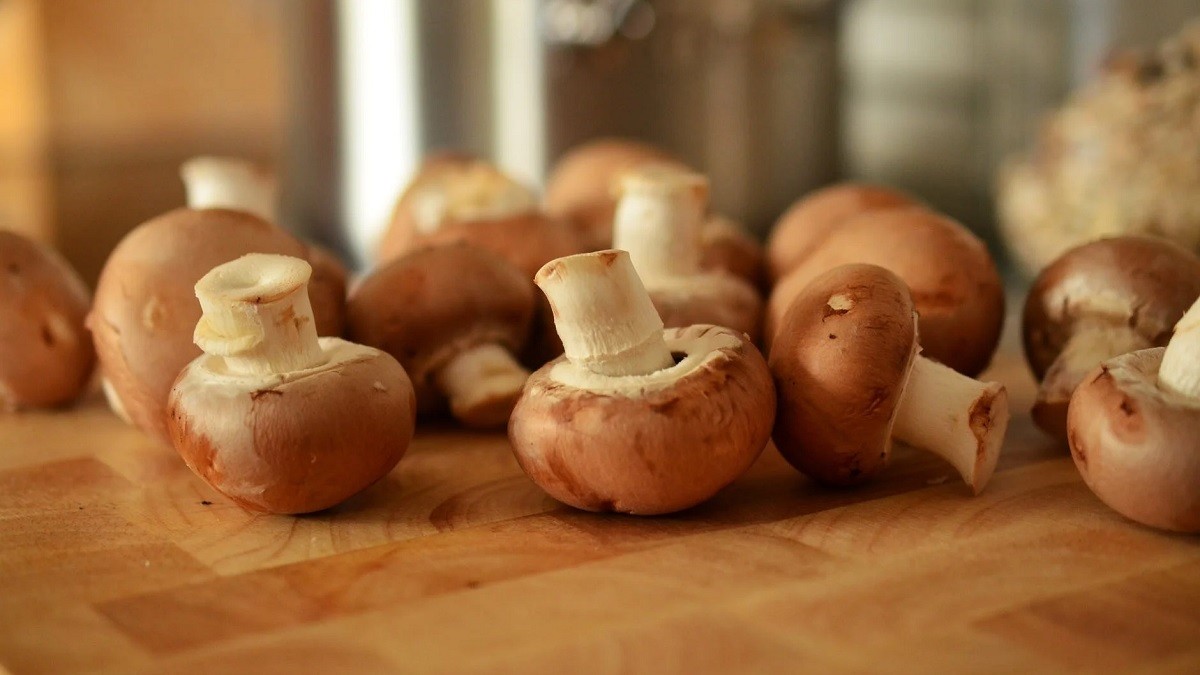 Daily mushroom consumption halves cancer risk