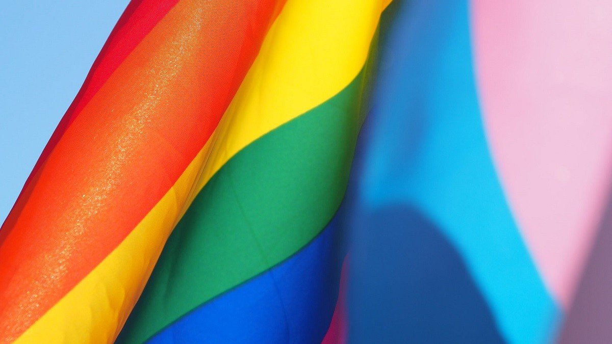 pride flag and transgender flag
