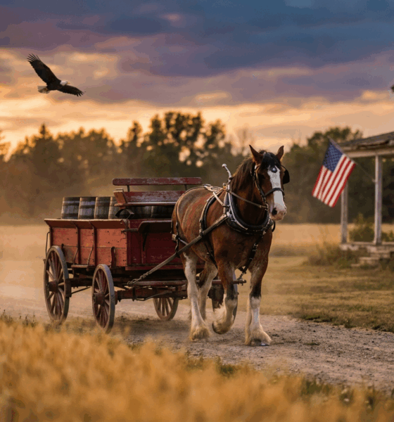 Budweiser Bets Big on American Tradition
