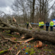 Fatal Incident Shatters Peace at Easter Gathering in Germany